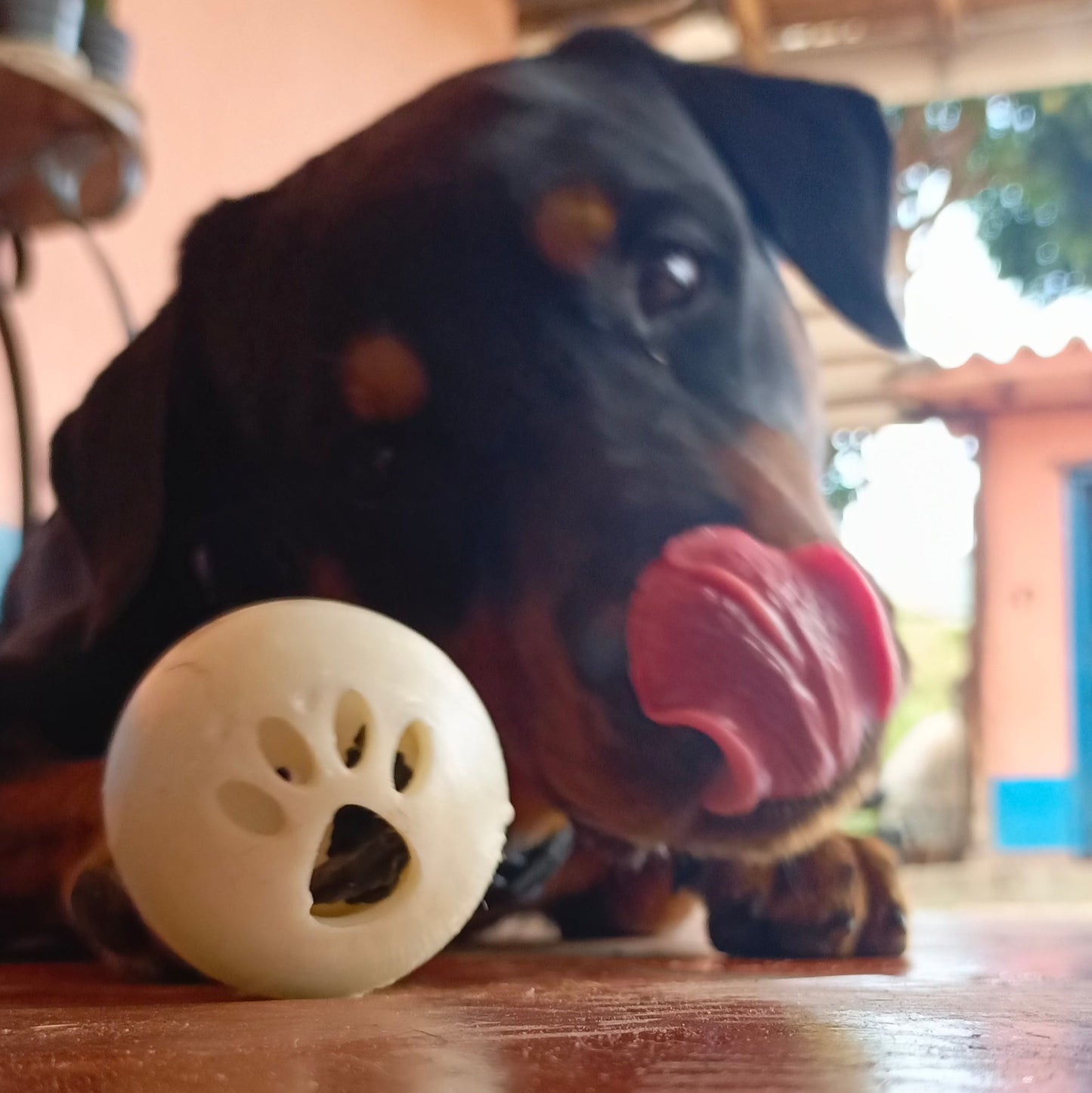 Phaws Biodegradable Treat-Dispensing Roller Toy