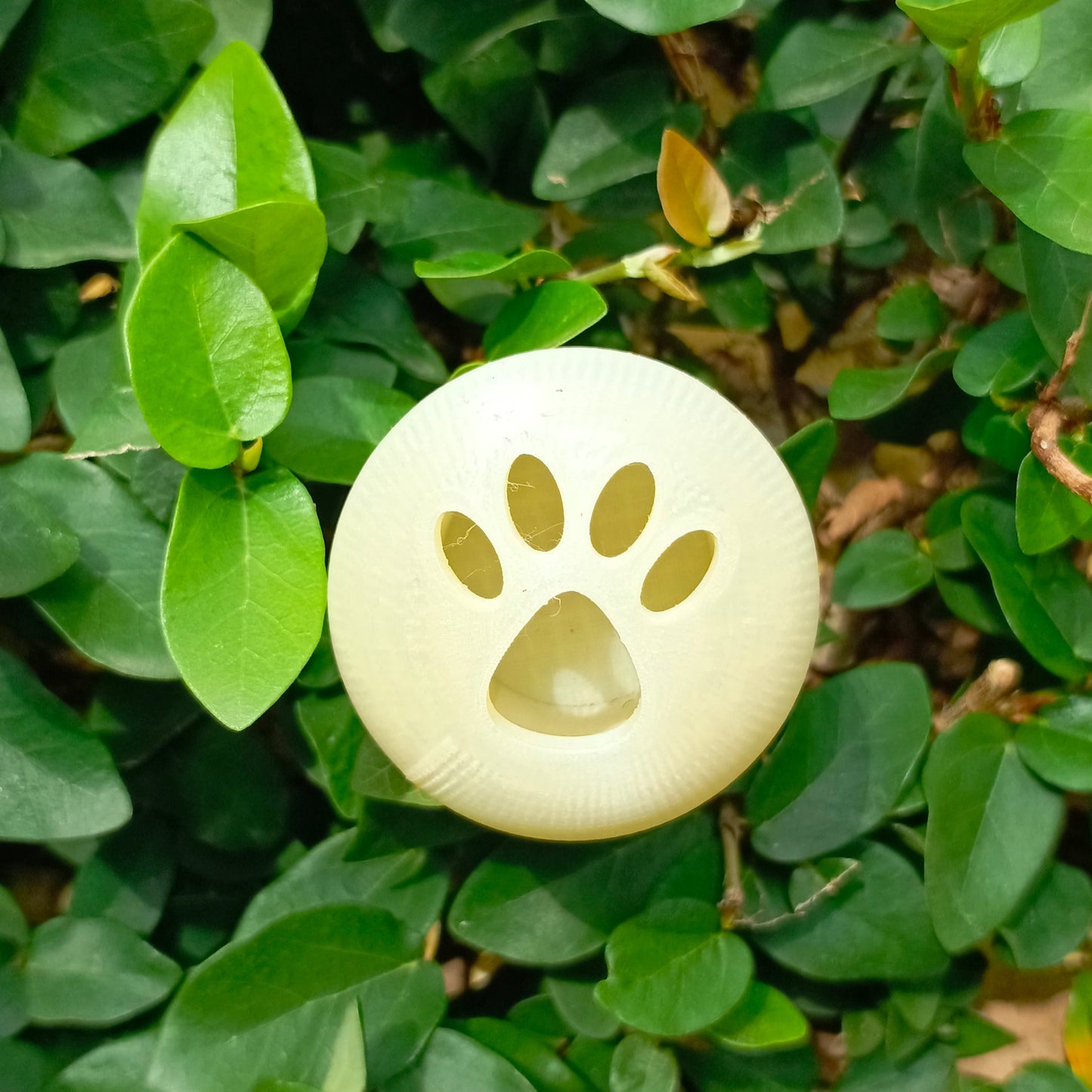 Phaws Biodegradable Treat-Dispensing Roller Toy