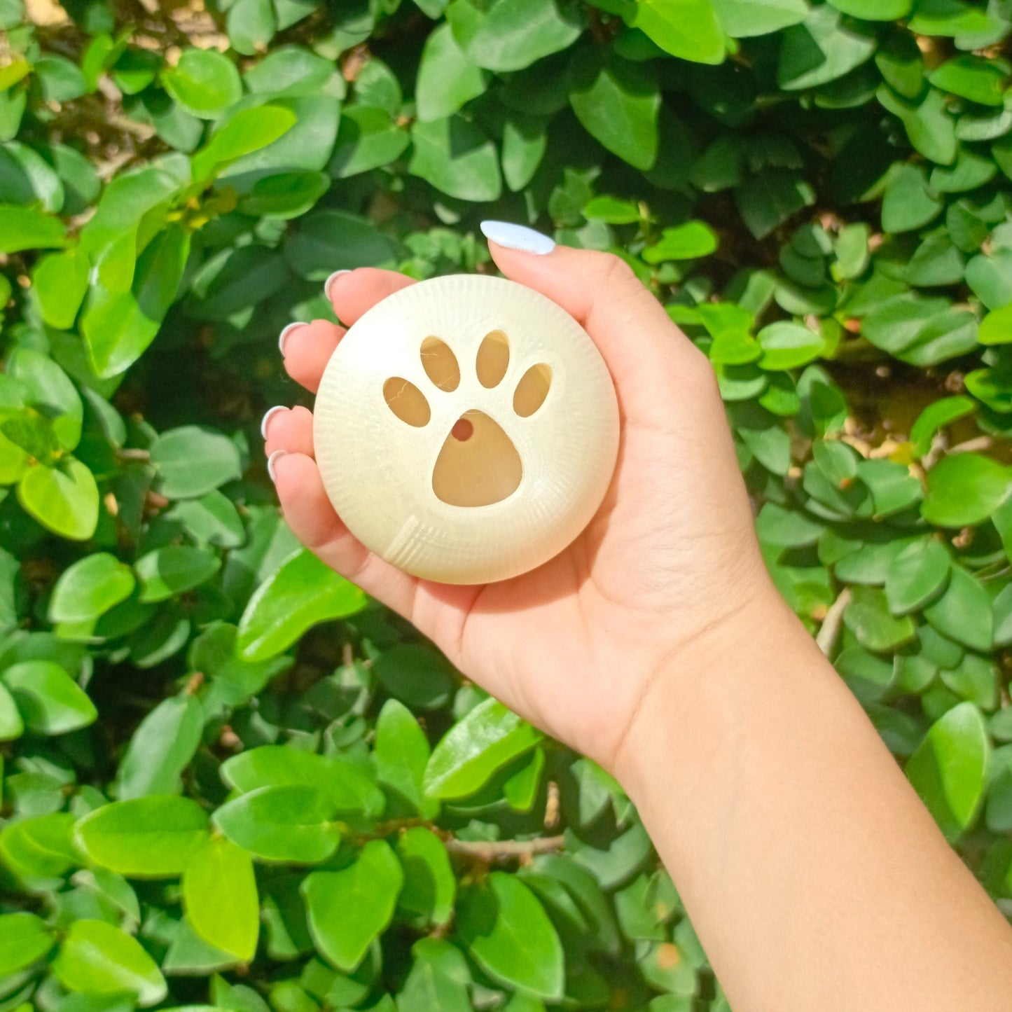 Phaws Biodegradable Treat-Dispensing Roller Toy